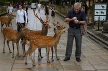 Kansai Region Hiking Adventure in Nara Kobe Kyoto and More