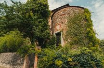 Taste Award Winning Organic Wines in a Castle