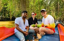 Bentota River Safari: Crocodiles, Monkeys, Birds, Mangrove Forest