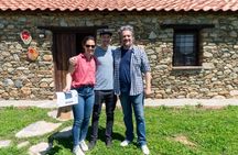 Greece in a Drop: Olive Grove Walk and Olive Oil Tasting
