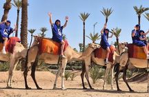 Half day Quad and Camel Ride Combination