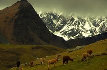 Luxury Private 12 Lagoon Ausangate Trek from Cusco