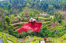 Ubud Tour: Monkey Forest, Rice Terrace, Temple and Waterfall