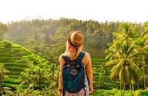 Ubud Tour: Monkey Forest, Rice Terrace, Temple and Waterfall