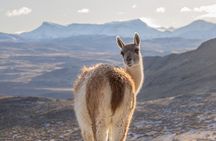 Photographic exploration in Torres del Paine