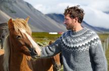 5-Day Small Group Journey Around Iceland