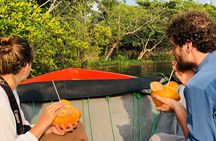 Bentota River Safari: Crocodiles, Monkeys, Birds, Mangrove Forest