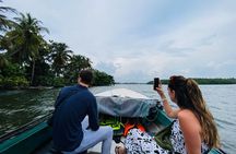 Bentota River Safari: Crocodiles, Monkeys, Birds, Mangrove Forest