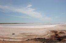 From Djerba & Zarzis: Tataouine Chenini 1 day tour