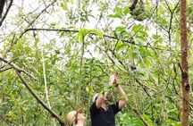 Sloth Watching Experience Arenal