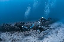 Scuba Dive at Electric Beach 