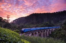 8 Day Private Car and Dedicated Driver Service in Sri Lanka