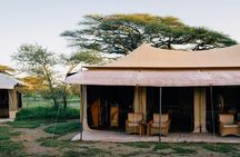 7 Days 6 Nights 4 Star Lodges Safari