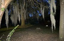 Savannah Beyond Good & Evil Tour