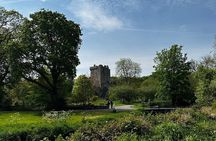 Kiss the Blarney Stone Tour from Dublin