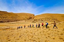Experience Todra Gorge Hiking Adventure