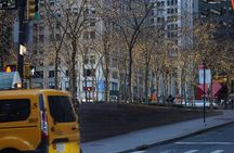 Private New York Downtown Highlights Half Day Tour