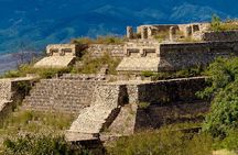 Monte Alban Tree of the Tule Mezcal and Teotitlan del Valle Tour