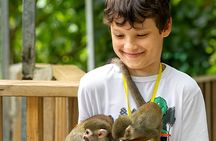 Double Adventure: Monkeys Plus Drive a 4x4 Buggy 