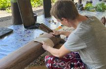 Samoa in a Day: Customizable Tour of Beaches, Waterfalls, Culture