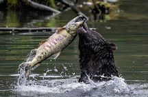 2 Hour Custom Wildlife and Historical Tour