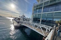Robben Island Tour from Cape Town: Pre-Booked Ticket & Transfers