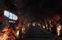 Suwon Hwaseong/Gwangmyeong Cave/Starfield Library from Seoul