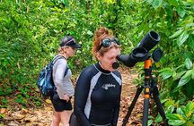 Discover Cahuita National Park Tour