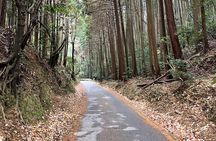 Kyoto Arashiyama Bamboo Forest Hidden Hiking Tour（Hidden Temples）