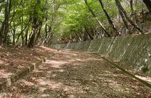 Kyoto Arashiyama Bamboo Forest Hidden Hiking Tour（Hidden Temples）