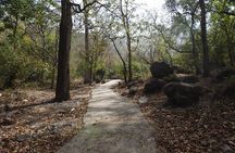 Rishikesh: Guided Walking Caves, Temples & Beatles Ashram