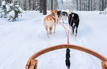 Husky Ride, Reindeer Ride and Ice Fishing One Day Experience