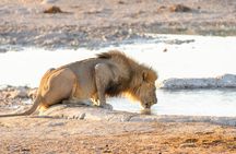 7 Day Tour in Kenya National Parks
