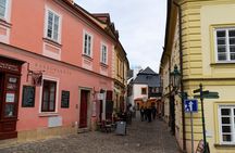 Private Tour from Prague to Kutna Hora with Admission