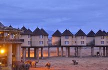 Overnight Private Safari Saltlick Lodge From Mombasa Diani