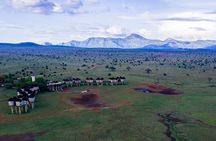 Overnight Private Safari Saltlick Lodge From Mombasa Diani