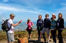 Howth Coastal Hike Private Tour