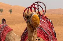 Arabian Desert Safari Cultural Adventure from Dubai