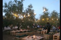 Apulian Olive Oil Tasting and Aperitivo Experience in Trani