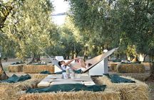 Apulian Olive Oil Tasting and Aperitivo Experience in Trani