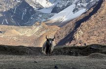 Manaslu Circuit Trek Untouched Beauty of Nepal
