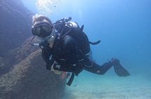 Night Diving in Fujairah