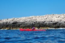 Half Day Paklinski Islands Sea Kayak Tour