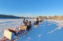 2 Day Tour Husky Ride, Snowmobiles, Northern Lights and Ranua Zoo