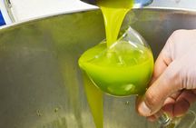 EVO Oil Tasting at a Historic Olive Mill Near Florence