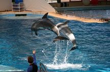 Land of Legends Theme Park & Night Show from Antalya
