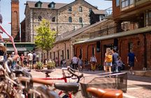 Toronto Private Tour: Hidden Gems & Highlights by a Local 