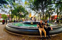 The bohemian Coyoacan