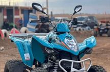 Quad Ride in Marrakech Palmeraie for Half Day