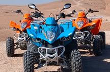 Quad Ride in Marrakech Palmeraie for Half Day